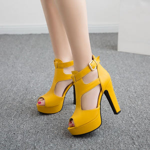 Hot Peep Toe Chunky High Heel Platform Sandals Verkadi.com