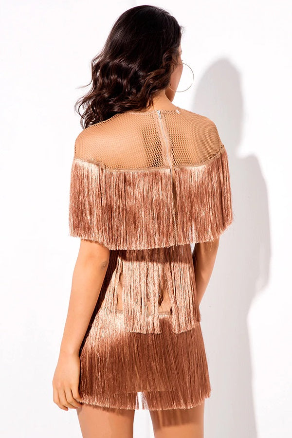 Slinky Round Neck Mesh Tassels Party Club Mini Dress