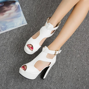 Hot Peep Toe Chunky High Heel Platform Sandals Verkadi.com