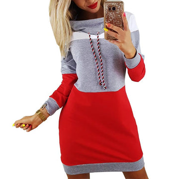 Turtleneck Long Sleeve Hooded Colorful Hoodie Dress