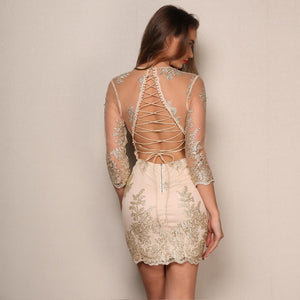 New Embroidery Lace Body Con Elegant Dress Verkadi.com