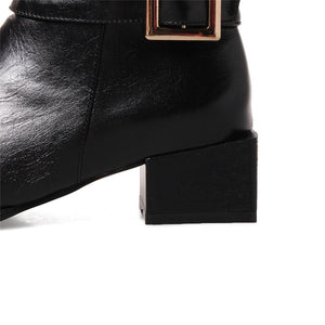 Buckle Strap Pointed Toe Chunky Heel Ankle Boots